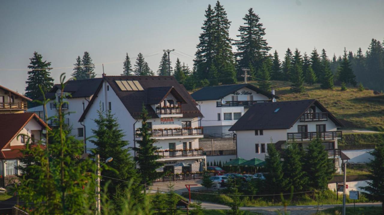 Pensiune Rara Păltiniş Eksteriør bilde