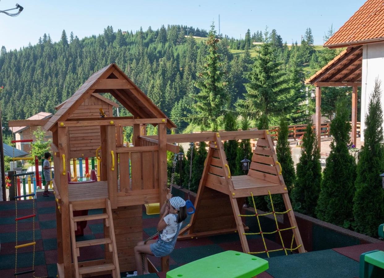 Pensiune Rara Păltiniş Eksteriør bilde